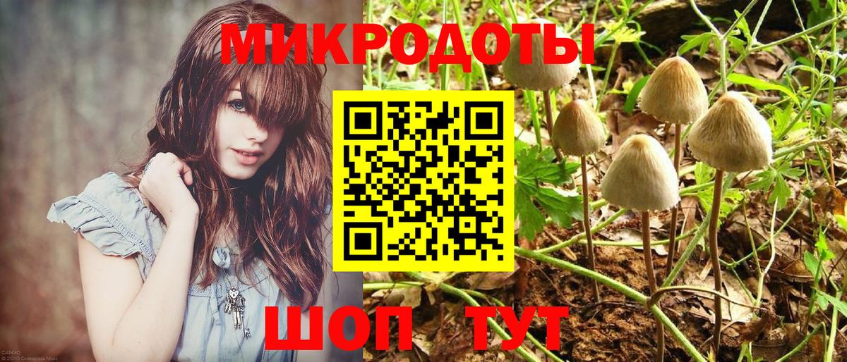 купить наркотики цена  Вход с VPN  Петрозаводск  Псилоцибиновые грибы GOLDEN TEACHER 